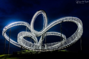 Tiger and Turtle