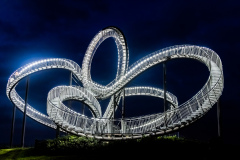 Tiger & Turtle
